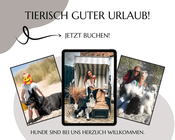 Tierisch guter Urlaub